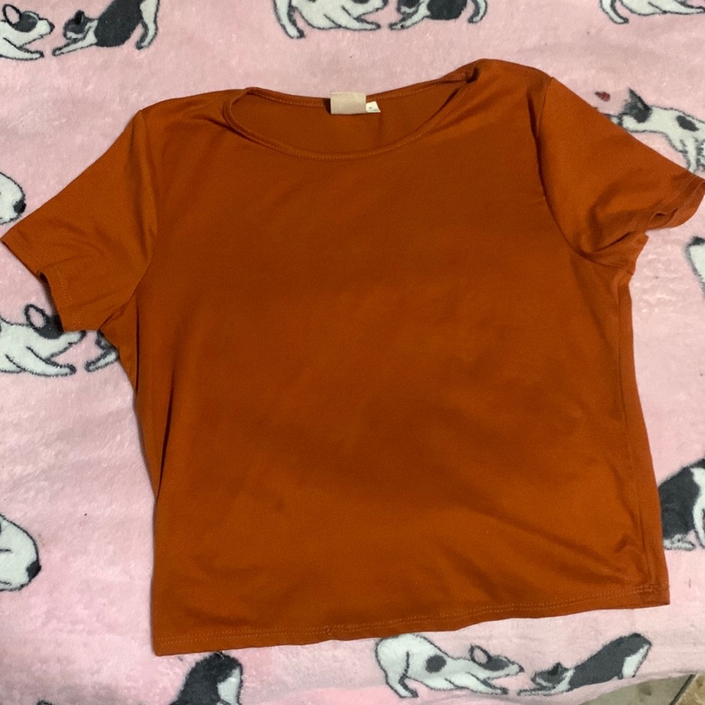 Orange crop top